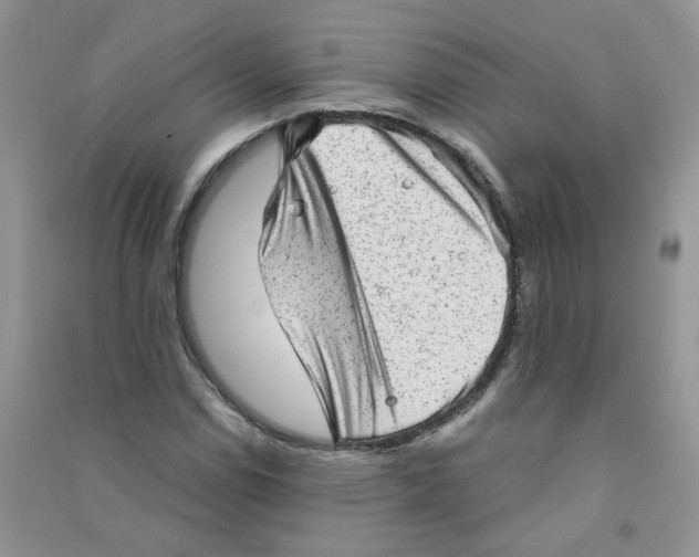 X0000090631114200708141428