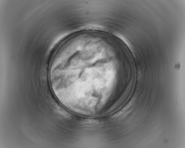 X0000090631115200708141428
