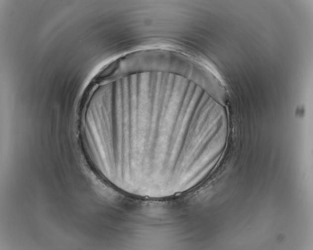 X0000090631116200708141428