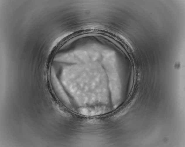 X0000090631117200708141428