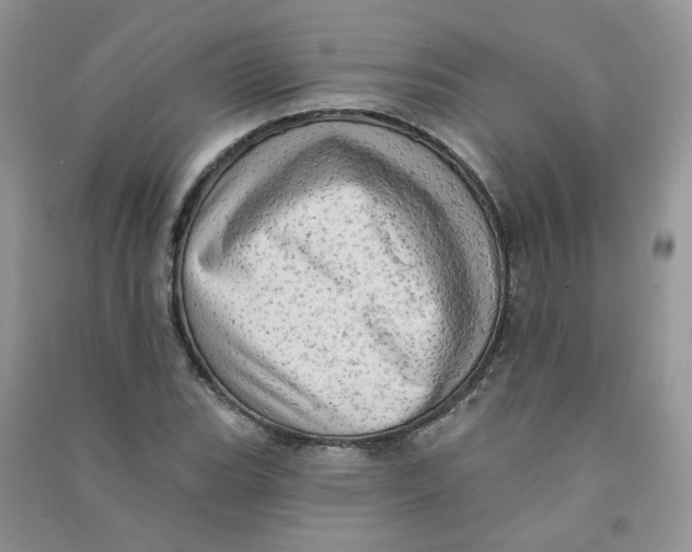 X0000090631119200708141428
