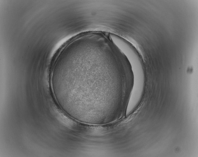 X0000090631120200708141428