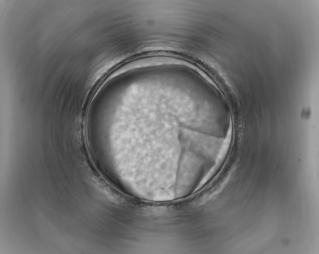 X0000090631121200708141428