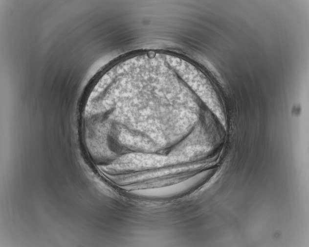 X0000090631122200708141428