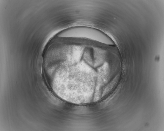 X0000090631123200708141428