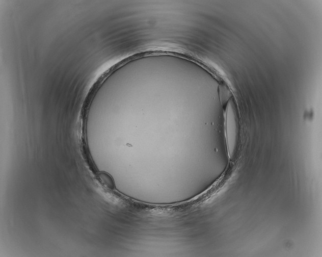 X0000090631125200708141428