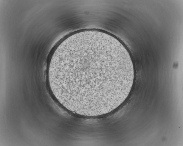X0000090631126200708141428