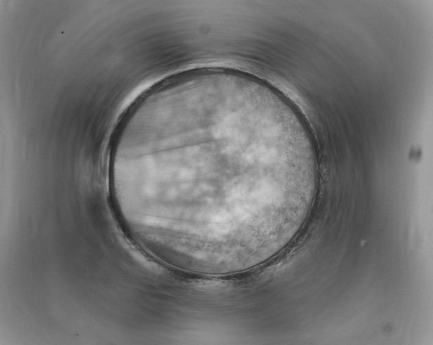 X0000090631127200708141428