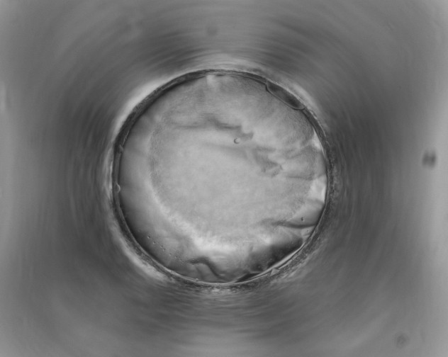 X0000090631128200708141428