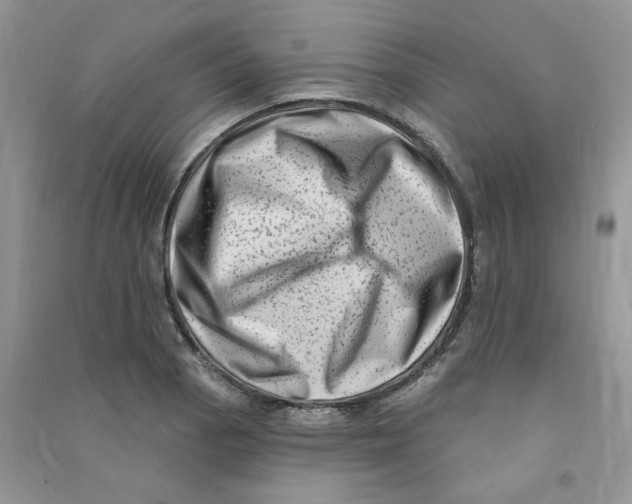 X0000090631129200708141428