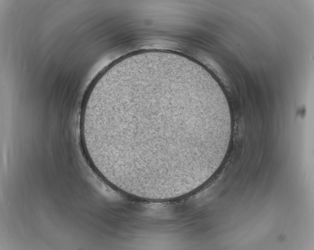 X0000090631130200708141428
