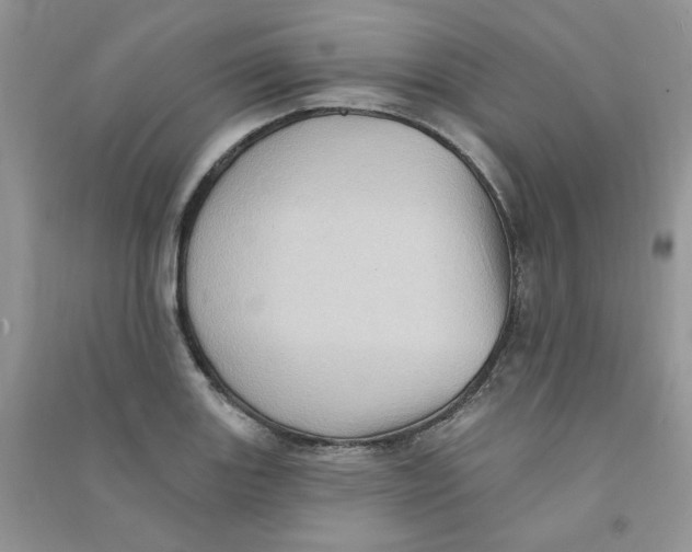 X0000090631131200708141428