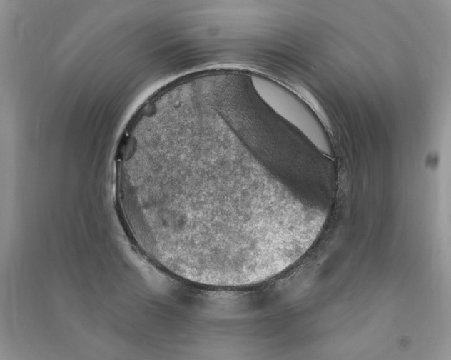 X0000090631132200708141428