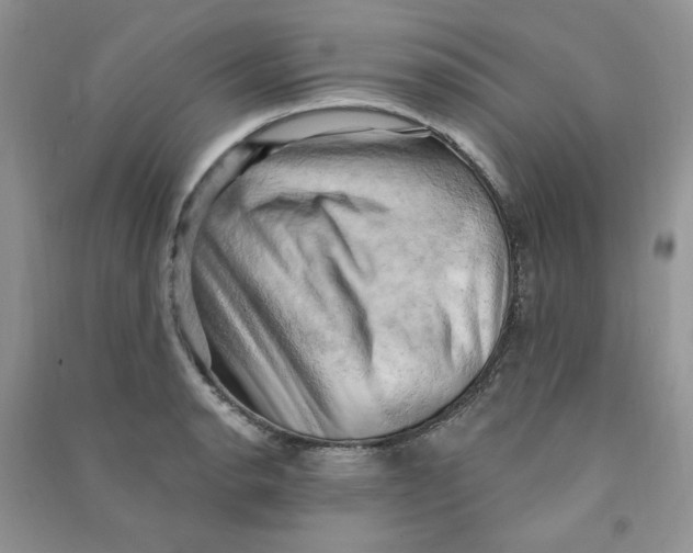 X0000090631134200708141428
