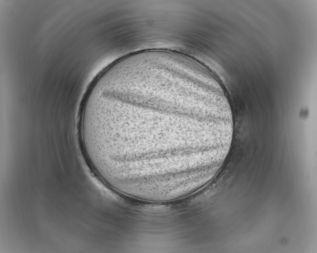 X0000090631135200708141428