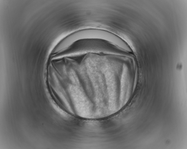 X0000090631136200708141428
