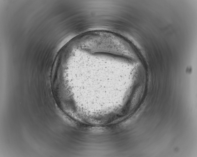 X0000090631137200708141428
