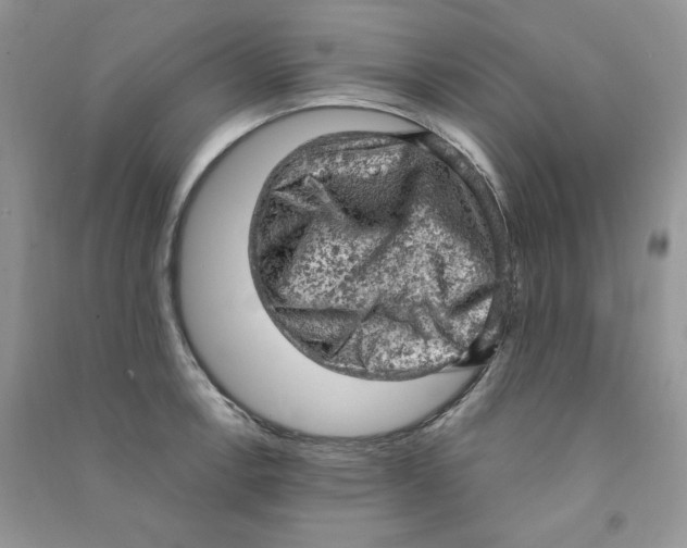 X0000090631138200708141428