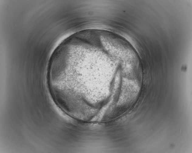 X0000090631139200708141428