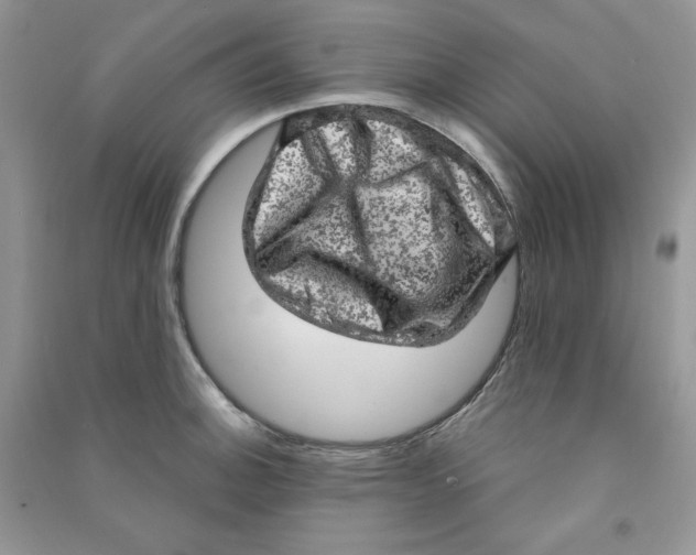 X0000090631140200708141428