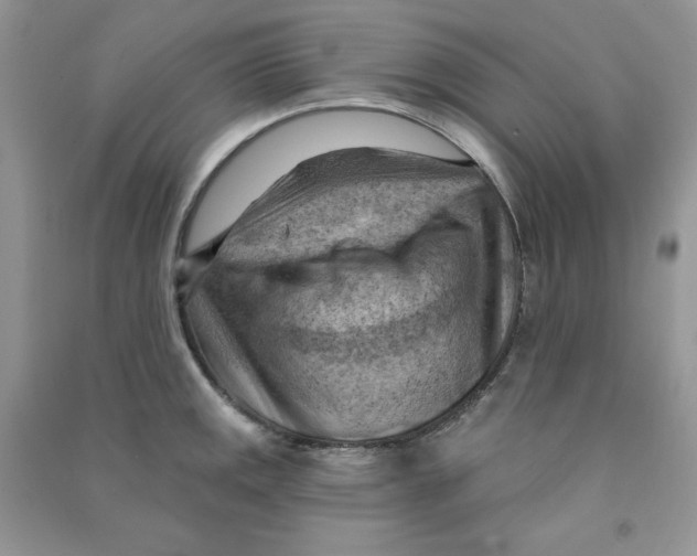 X0000090631141200708141428