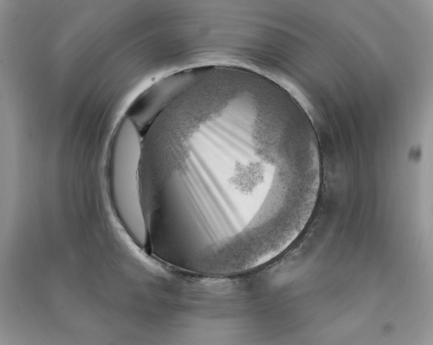 X0000090631142200708141429