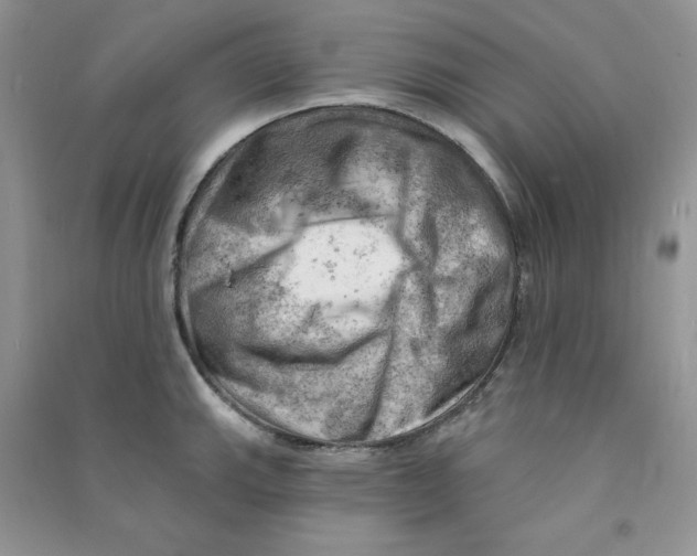 X0000090631143200708141429