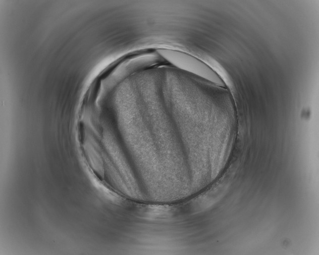 X0000090631144200708141429