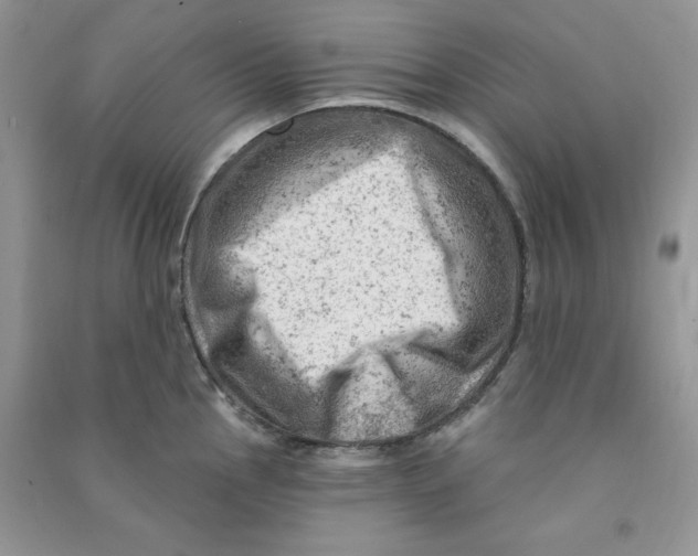 X0000090631145200708141429