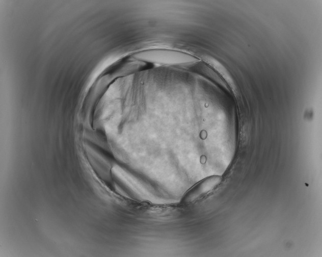 X0000090631146200708141429