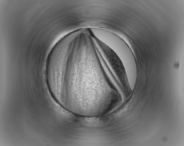 X0000090631147200708141429