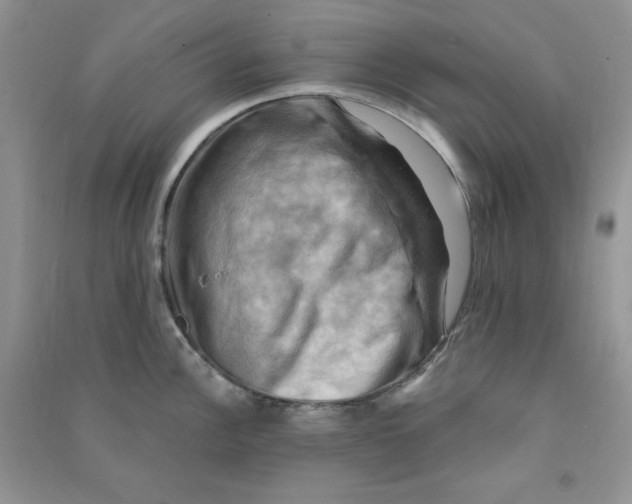 X0000090631148200708141429