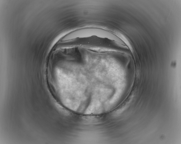 X0000090631149200708141429