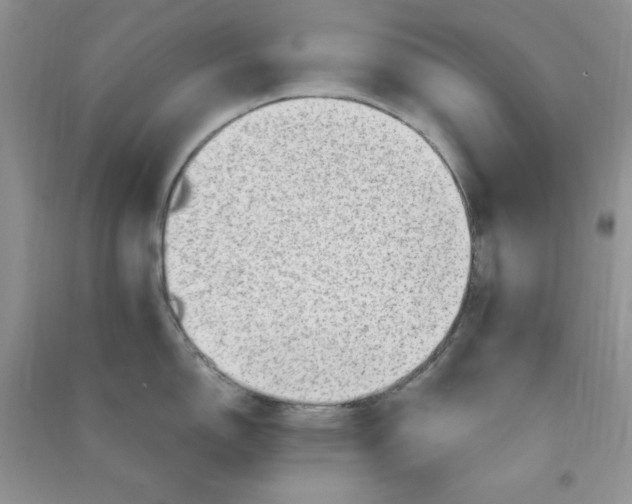 X0000090631150200708141429