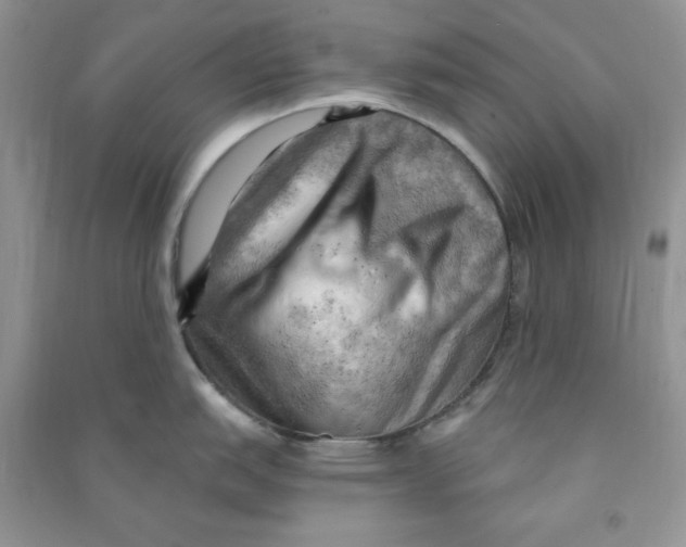 X0000090631151200708141429