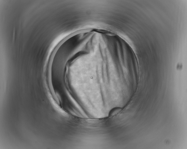 X0000090631152200708141429