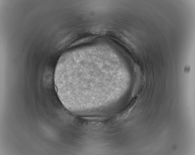 X0000090631154200708141428