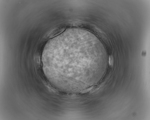 X0000090631155200708141428