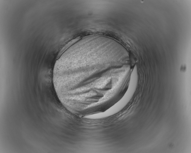 X0000090631156200708141428