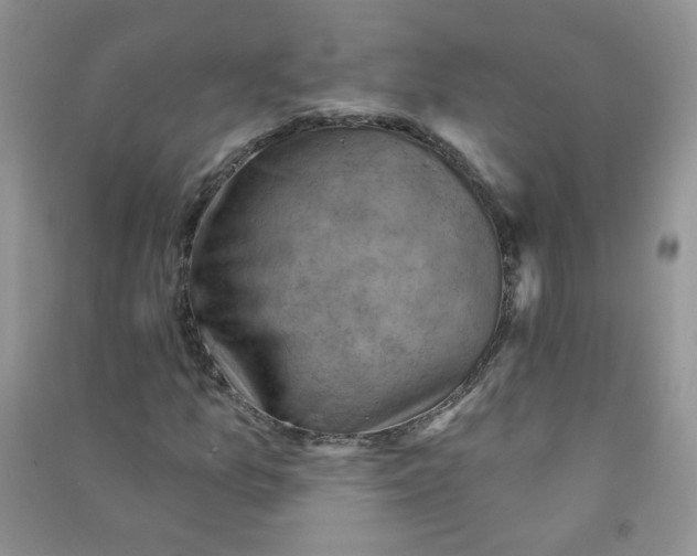 X0000090631157200708141428