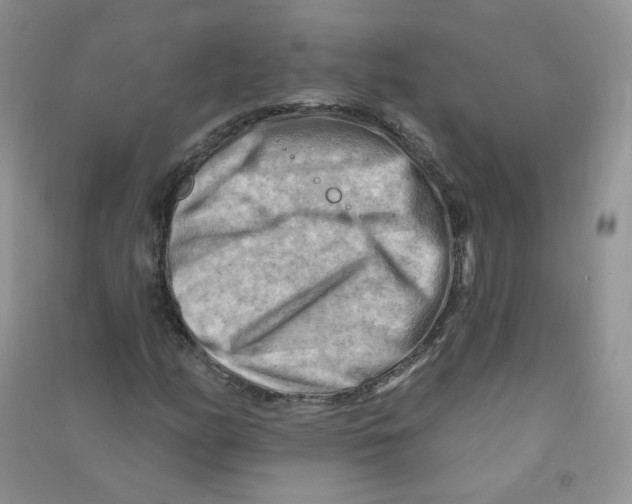 X0000090631158200708141428