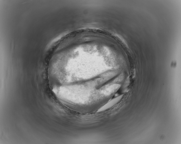 X0000090631159200708141428