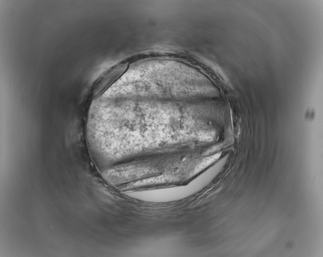 X0000090631160200708141428