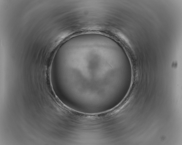 X0000090631161200708141428