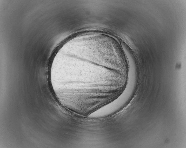 X0000090631164200708141428