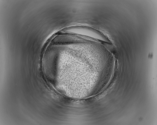X0000090631165200708141428