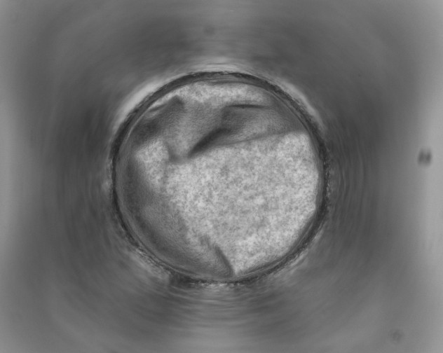 X0000090631167200708141428