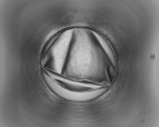 X0000090631168200708141428