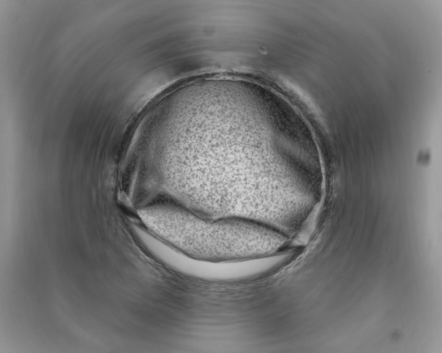 X0000090631169200708141428