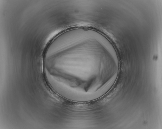 X0000090631171200708141428